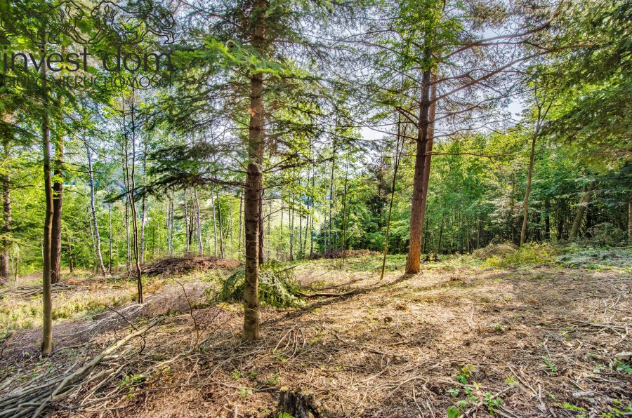 gorlicki, Sękowa, Małastów, małopolskie, Marzenie o własnej pracowni pasiecznej? już w zasięgu ręki!