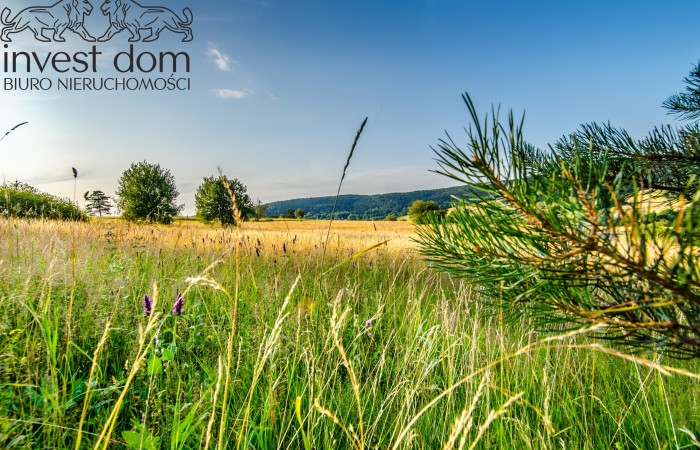 małopolskie, gorlicki, Jak w Beskid Niski to do Nowicy!