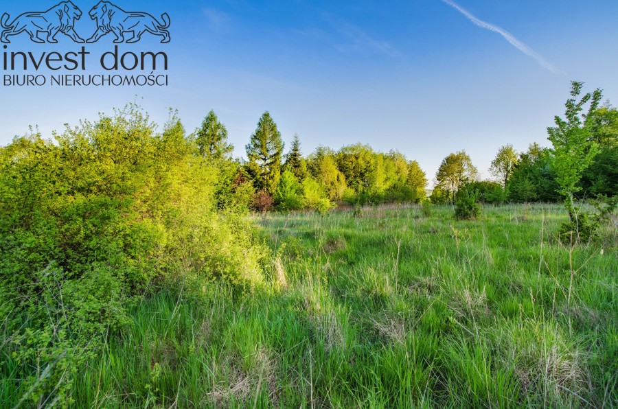 gorlicki, Lipinki, Wójtowa, małopolskie, ..panoramiczna działka budowlana okalana lasem!