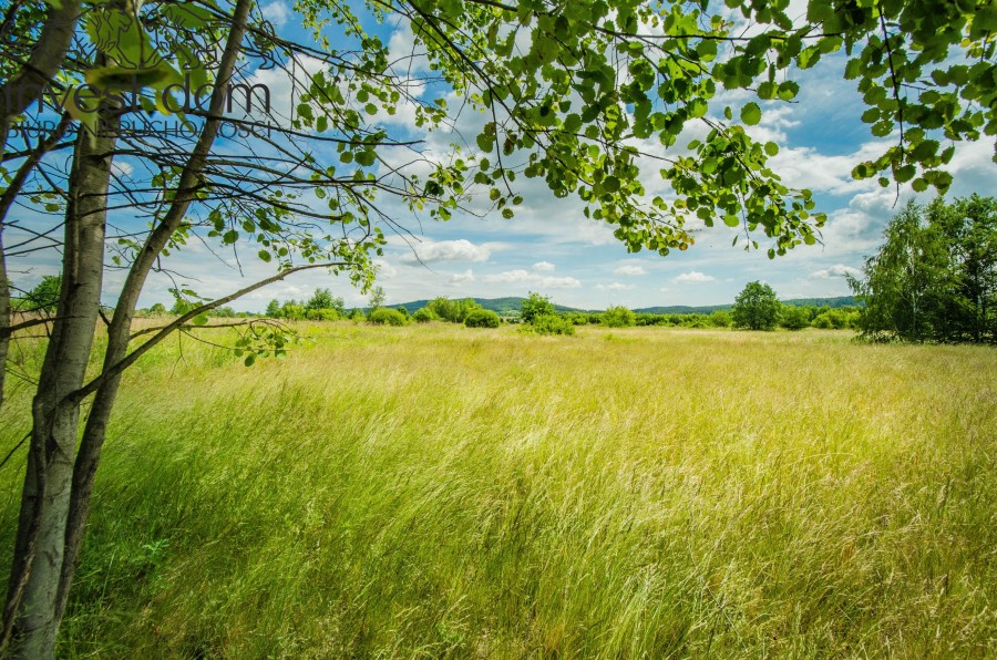 gorlicki, Lipinki, Wójtowa, małopolskie, Pokaźne działki budowlane w Wójtowej!