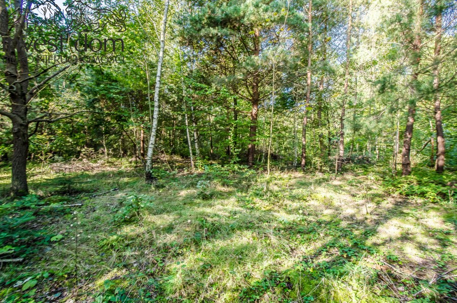 gorlicki, Gorlice, Szymbark, małopolskie, ..ACH! ten widok. Działka rolno-leśna w Szymbarku.