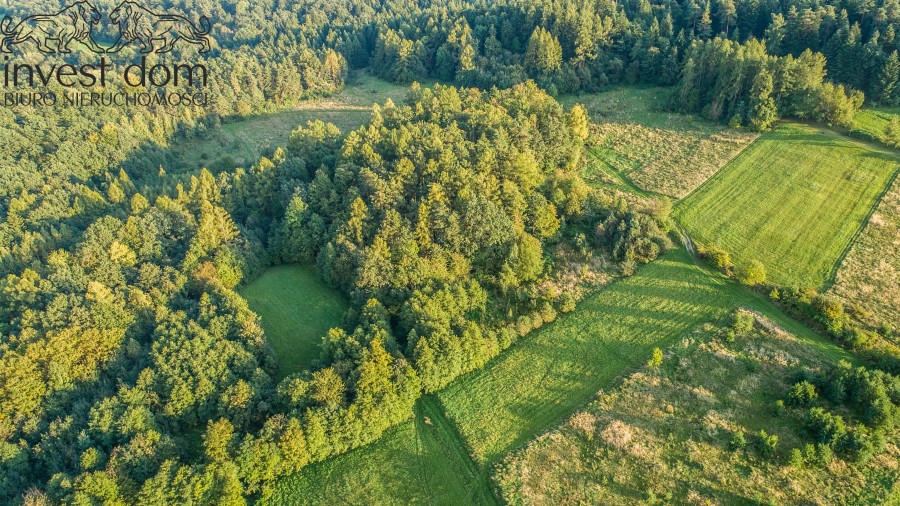 gorlicki, Lipinki, Kryg, małopolskie, Zespół rolnych działek w Krygu!