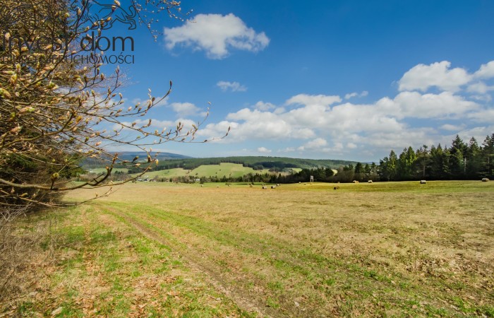 małopolskie, gorlicki, 8ha w sercu Beskidu Niskiego, Skwirtne!