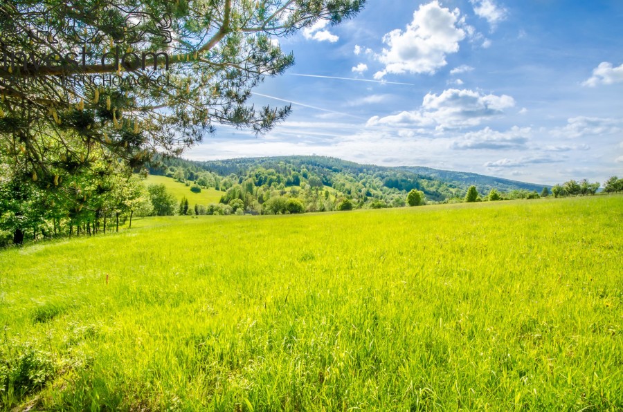 gorlicki, Sękowa, Małastów, małopolskie, Zaszyj się w Beskidach: Twój wymarzony kawałek ziemi w Beskidzie Niskim!
