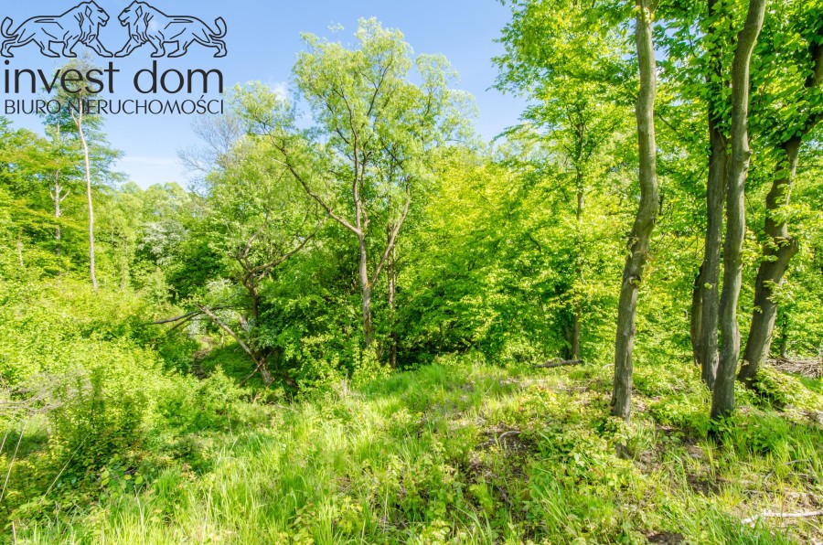 gorlicki, Sękowa, Małastów, małopolskie, Zaszyj się w Beskidach: Twój wymarzony kawałek ziemi w Beskidzie Niskim!