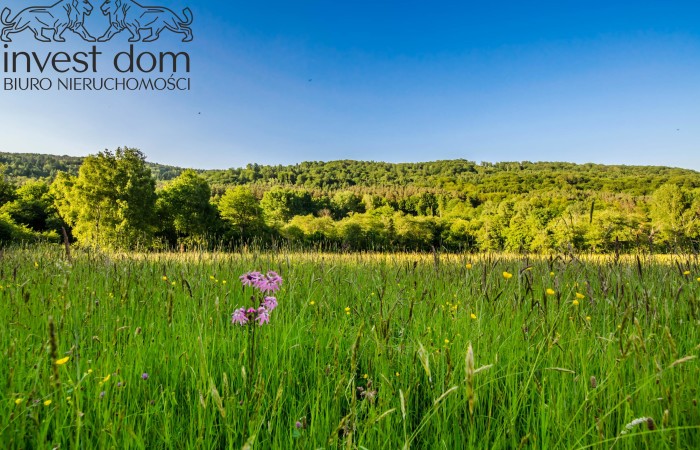 małopolskie, gorlicki, ...przepojone liryzmem, Ropki!