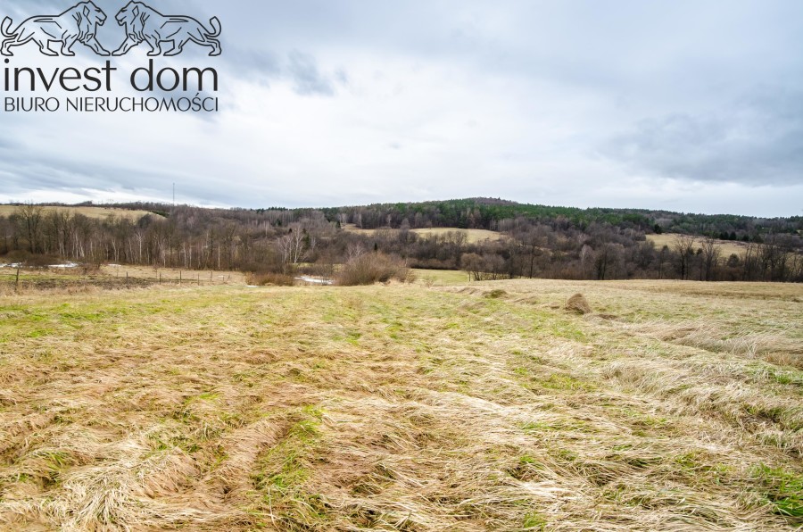gorlicki, Sękowa, Wapienne, małopolskie, Działka budowlana w Uzdrowisku Wapienne!