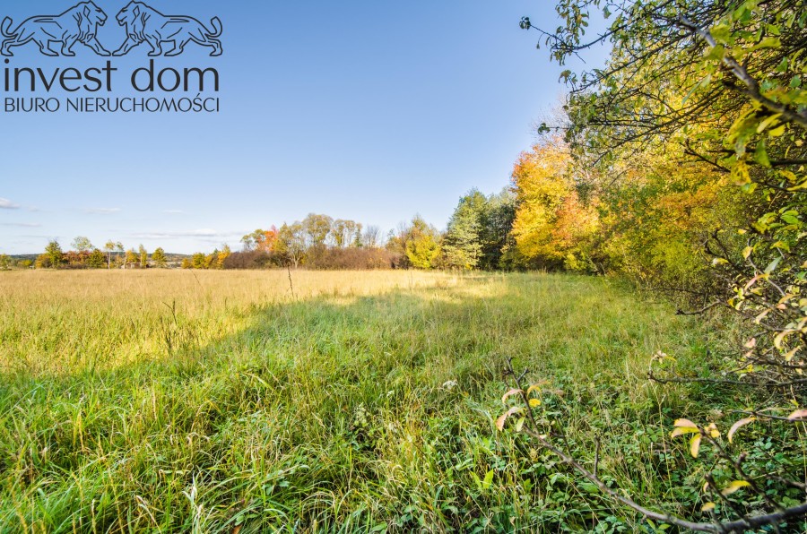 gorlicki, Lipinki, Pagorzyna, małopolskie, Pokaźna działka budowlana pod wymarzony dom!