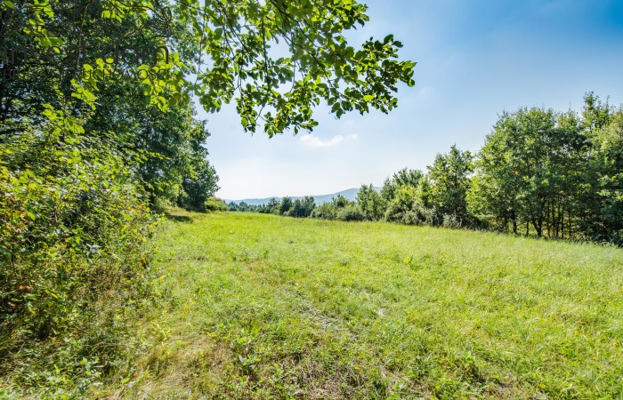 małopolskie, gorlicki, ..wymarzona działka w Ropicy Polskiej !!!