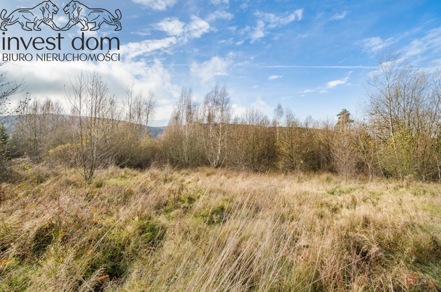 gorlicki, Sękowa, Ropica Górna, małopolskie, 38 arowy unikat! Dz. budowlana lasem – Ropica Górna! Beskid Niski
