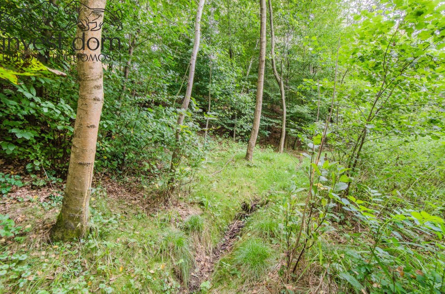 gorlicki, Gorlice, Gorlice, małopolskie, Unikatowa działka budowlana na obrzeżach Gorlic!