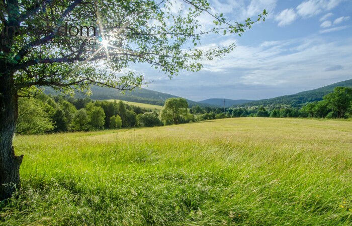 Bartne, Sękowa, Działka na sprzedaż