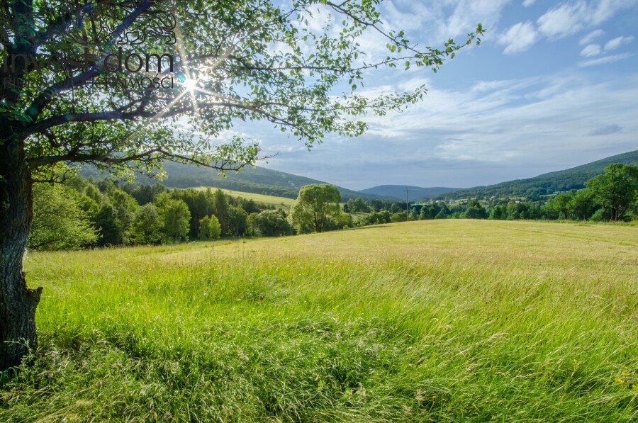 gorlicki, Sękowa, Bartne, małopolskie, Oaza Spokoju w Beskidzie Niskim – Działka w Bartne, pod Lasem!