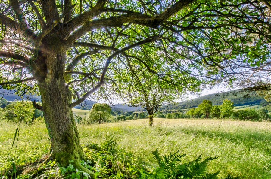 gorlicki, Sękowa, Bartne, małopolskie, Oaza Spokoju w Beskidzie Niskim – Działka w Bartne, pod Lasem!
