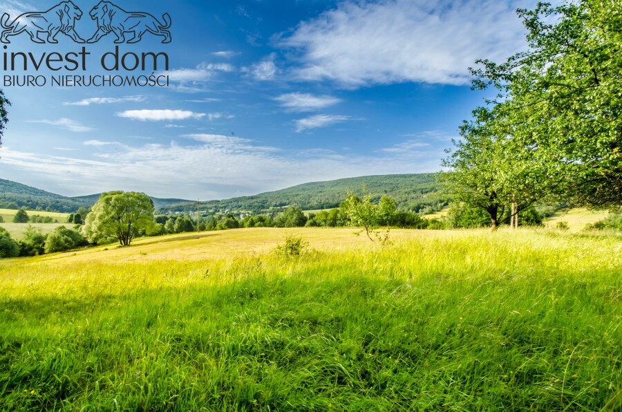 gorlicki, Sękowa, Bartne, małopolskie, Oaza Spokoju w Beskidzie Niskim – Działka w Bartne, pod Lasem!