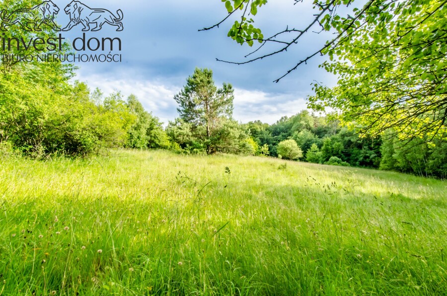 gorlicki, Sękowa, Bartne, małopolskie, Oaza Spokoju w Beskidzie Niskim – Działka w Bartne, pod Lasem!