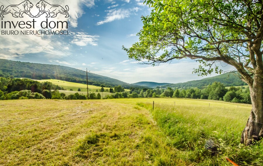 gorlicki, Sękowa, Bartne, małopolskie, Oaza Spokoju w Beskidzie Niskim – Działka w Bartne, pod Lasem!