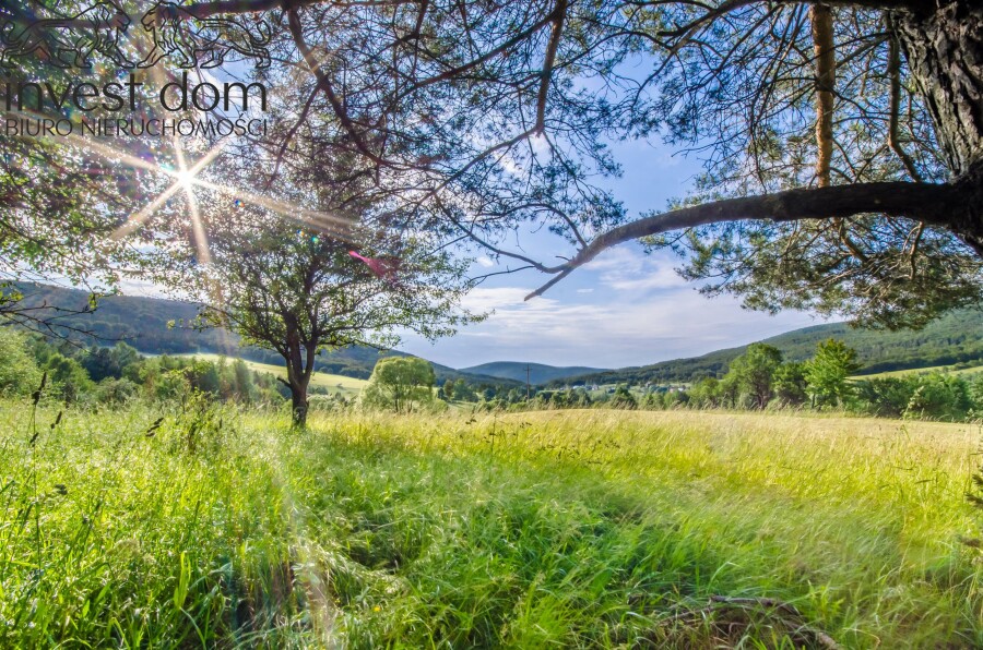 gorlicki, Sękowa, Bartne, małopolskie, Oaza Spokoju w Beskidzie Niskim – Działka w Bartne, pod Lasem!