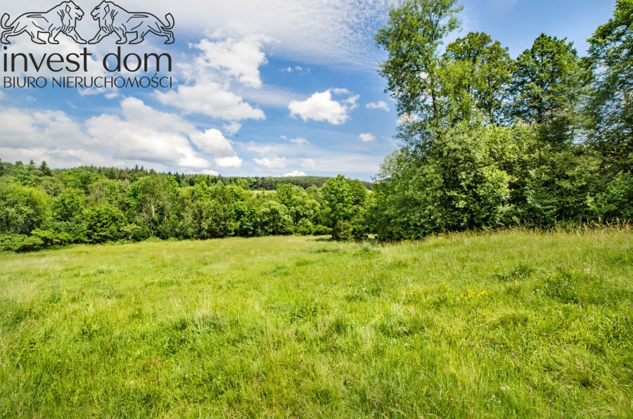 gorlicki, Uście Gorlickie, Skwirtne, małopolskie, wiejska sielanka tylko na działce w Skwirtnem !!