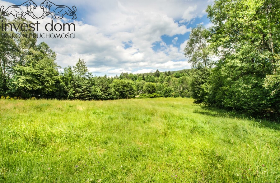 gorlicki, Uście Gorlickie, Skwirtne, małopolskie, wiejska sielanka tylko na działce w Skwirtnem !!