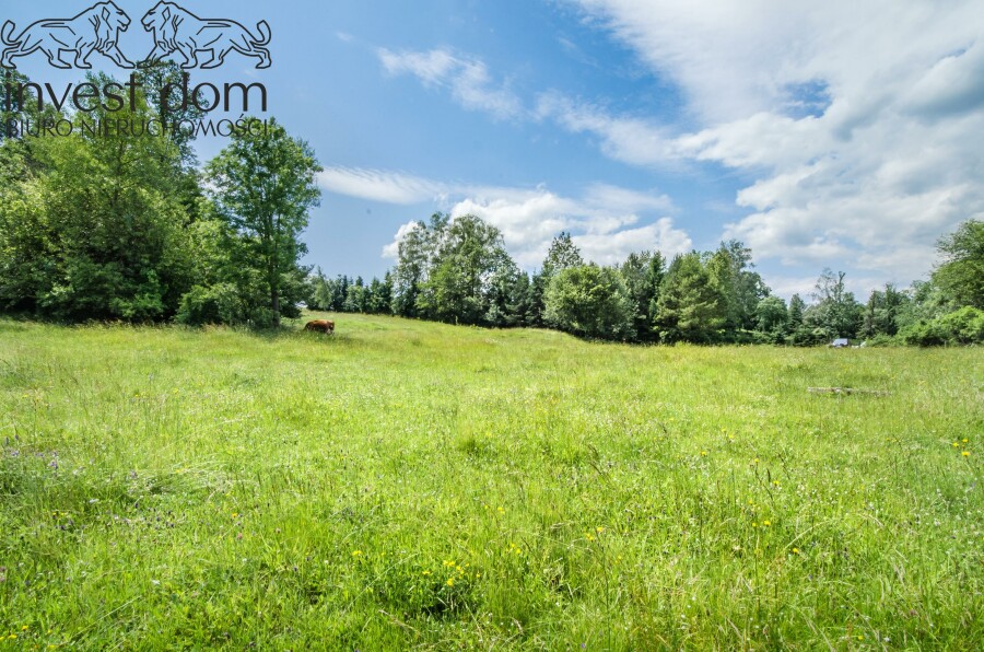 gorlicki, Uście Gorlickie, Skwirtne, małopolskie, wiejska sielanka tylko na działce w Skwirtnem !!