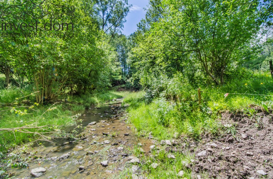 gorlicki, Uście Gorlickie, Skwirtne, małopolskie, wiejska sielanka tylko na działce w Skwirtnem !!