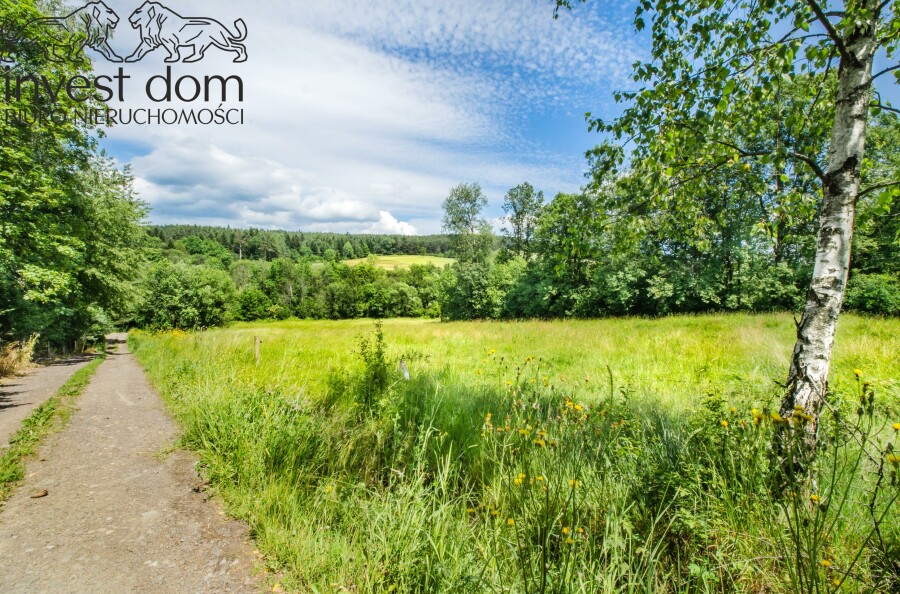 gorlicki, Uście Gorlickie, Skwirtne, małopolskie, wiejska sielanka tylko na działce w Skwirtnem !!