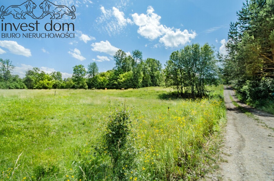 gorlicki, Uście Gorlickie, Skwirtne, małopolskie, wiejska sielanka tylko na działce w Skwirtnem !!