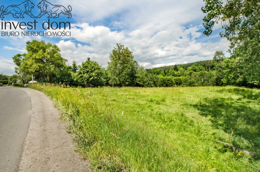 gorlicki, Uście Gorlickie, Skwirtne, małopolskie, wiejska sielanka tylko na działce w Skwirtnem !!