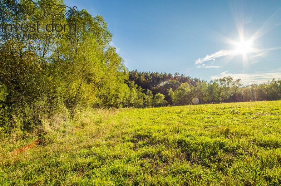 gorlicki, Uście Gorlickie, Śnietnica, małopolskie, Działki budowlane w sercu Beskidu Niskiego