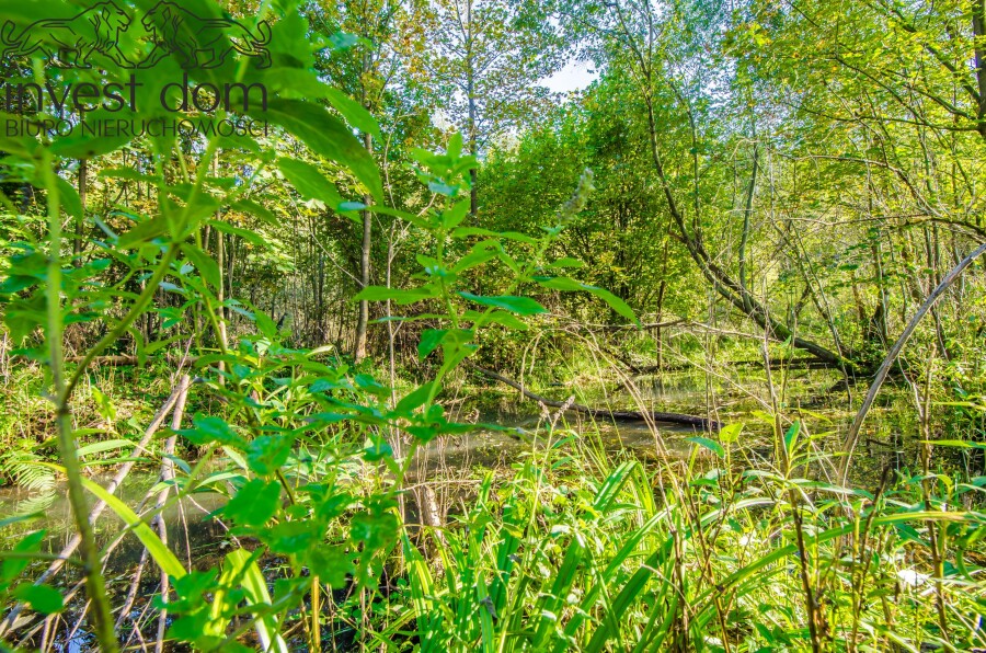 gorlicki, Uście Gorlickie, Śnietnica, małopolskie, Działki budowlane w sercu Beskidu Niskiego