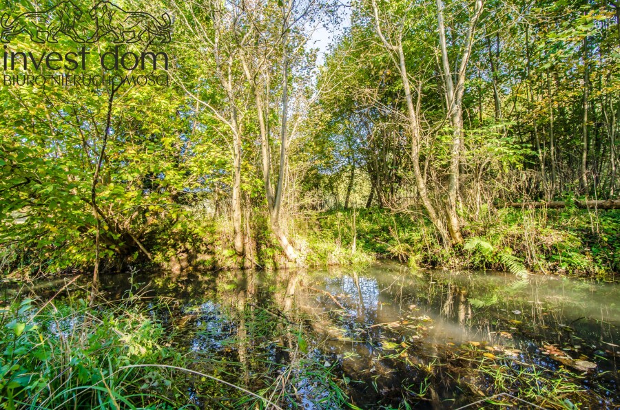 gorlicki, Uście Gorlickie, Śnietnica, małopolskie, Działki budowlane w sercu Beskidu Niskiego