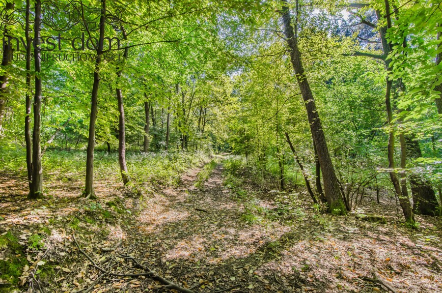 gorlicki, Gorlice, Ropica Polska, małopolskie, ..wymarzona działka w Ropicy Polskiej !!!