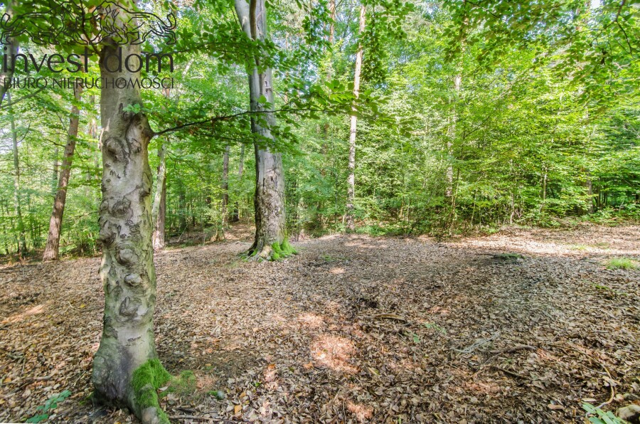 gorlicki, Gorlice, Ropica Polska, małopolskie, ..wymarzona działka w Ropicy Polskiej !!!