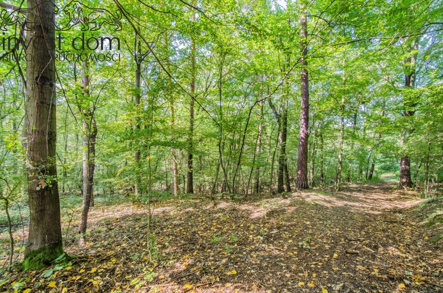 gorlicki, Gorlice, Ropica Polska, małopolskie, ..wymarzona działka w Ropicy Polskiej !!!