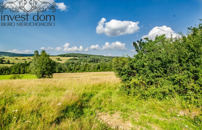 małopolskie, gorlicki, Twój prywatny azyl w sercu natury!