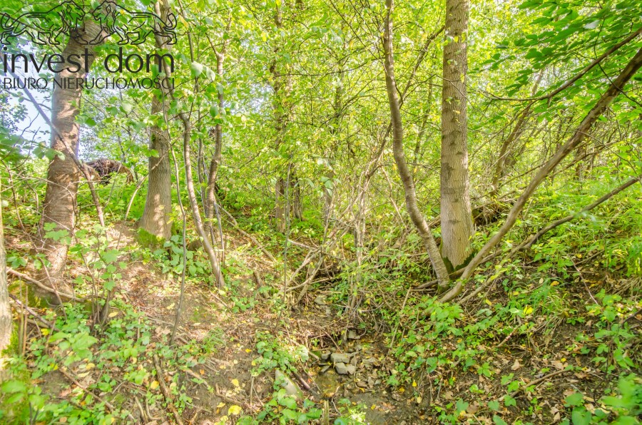 gorlicki, Uście Gorlickie, Kunkowa, małopolskie, Twój prywatny azyl w sercu natury!