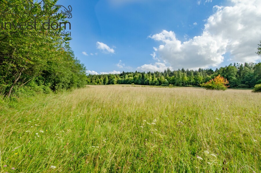 gorlicki, Uście Gorlickie, Kunkowa, małopolskie, Twój prywatny azyl w sercu natury!