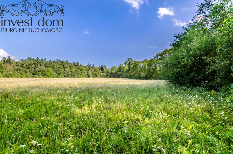 gorlicki, Uście Gorlickie, Kunkowa, małopolskie, Twój prywatny azyl w sercu natury!