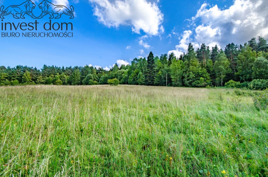 gorlicki, Uście Gorlickie, Kunkowa, małopolskie, Twój prywatny azyl w sercu natury!