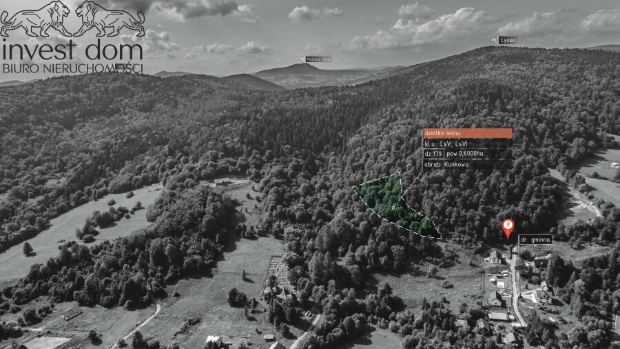 gorlicki, Uście Gorlickie, Kunkowa, małopolskie, Las w Kunkowej!