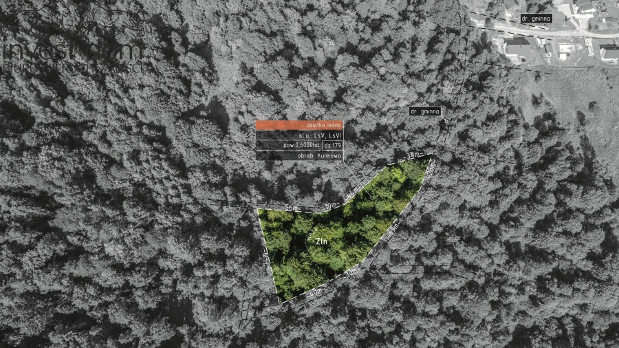 gorlicki, Uście Gorlickie, Kunkowa, małopolskie, Las w Kunkowej!