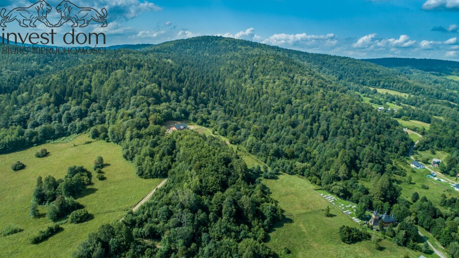 gorlicki, Uście Gorlickie, Kunkowa, małopolskie, Las w Kunkowej!