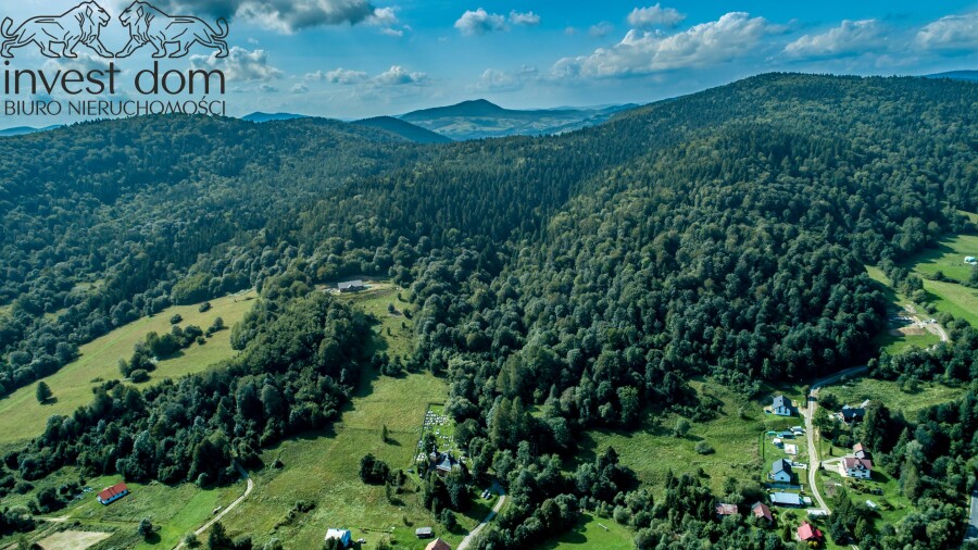 gorlicki, Uście Gorlickie, Kunkowa, małopolskie, Las w Kunkowej!