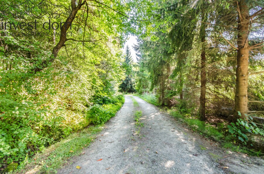 gorlicki, Sękowa, Męcina Wielka, małopolskie, Wyjątkowa willa z 5-hektarową posiadłością pod lasem – Męcina Wielka