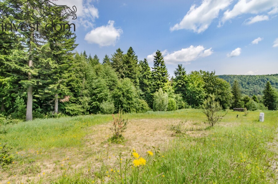 gorlicki, Uście Gorlickie, Wysowa-Zdrój, małopolskie, Działka w pełni uzbrojona pod lasem w Wysowej Z.!