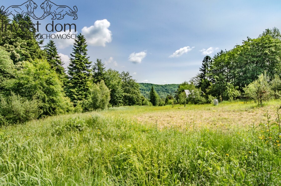 gorlicki, Uście Gorlickie, Wysowa-Zdrój, małopolskie, Działka w pełni uzbrojona pod lasem w Wysowej Z.!