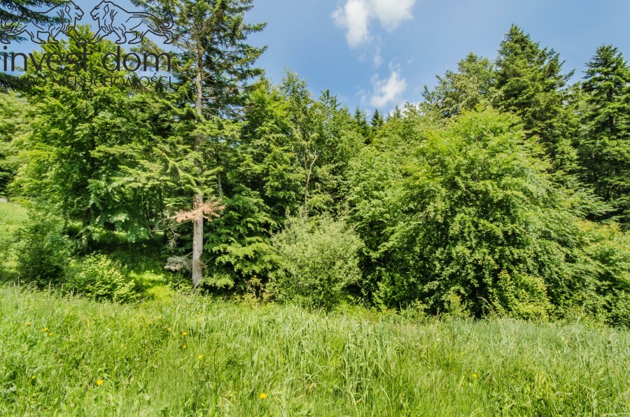 gorlicki, Uście Gorlickie, Wysowa-Zdrój, małopolskie, Działka w pełni uzbrojona pod lasem w Wysowej Z.!
