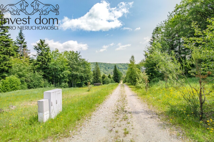 gorlicki, Uście Gorlickie, Wysowa-Zdrój, małopolskie, Działka w pełni uzbrojona pod lasem w Wysowej Z.!