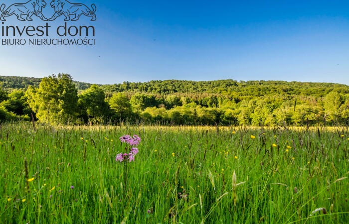 małopolskie, gorlicki, ...przepojone liryzmem, Ropki!